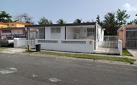 Family House Rain Forest And Beaches Pet Friendly