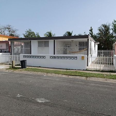 Family House Rain Forest And Beaches Pet Friendly Rio Grande Exterior photo