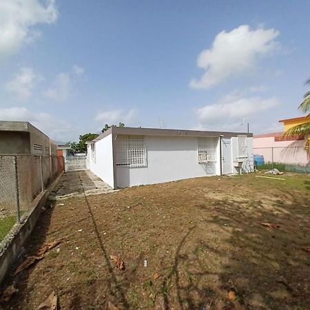 Family House Rain Forest And Beaches Pet Friendly Rio Grande Exterior photo