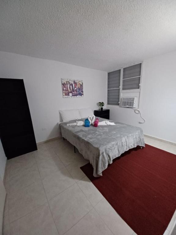 Family House Rain Forest And Beaches Pet Friendly Rio Grande Exterior photo