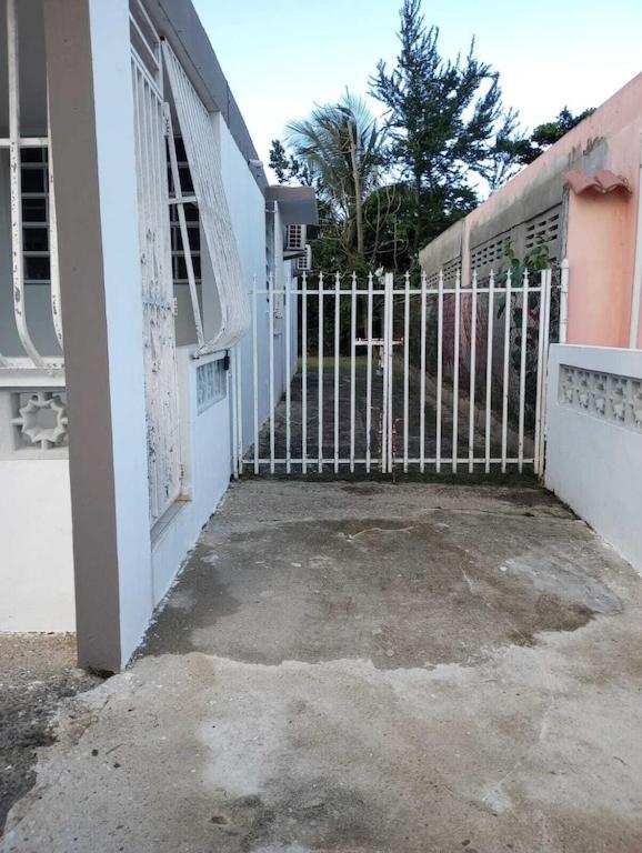 Family House Rain Forest And Beaches Pet Friendly Rio Grande Exterior photo